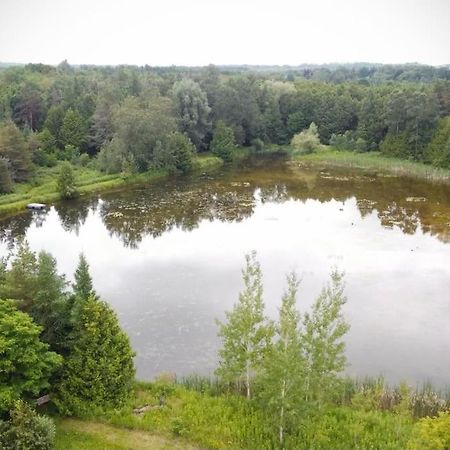 Cottage Retreat On 11 Acres Flesherton Extérieur photo