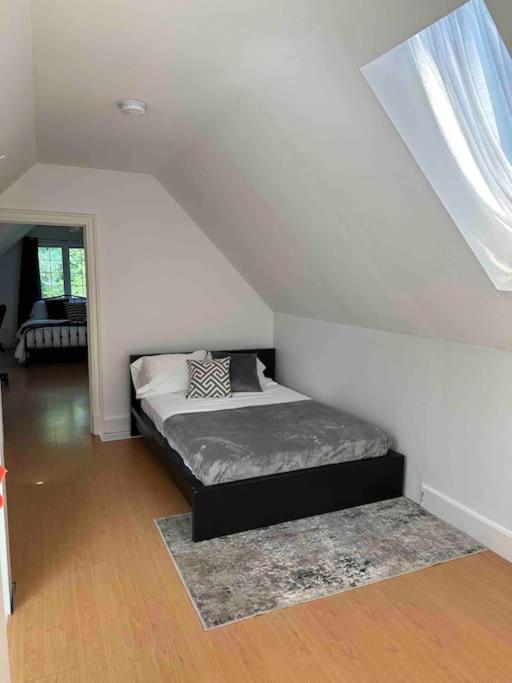 Cottage Retreat On 11 Acres Flesherton Extérieur photo